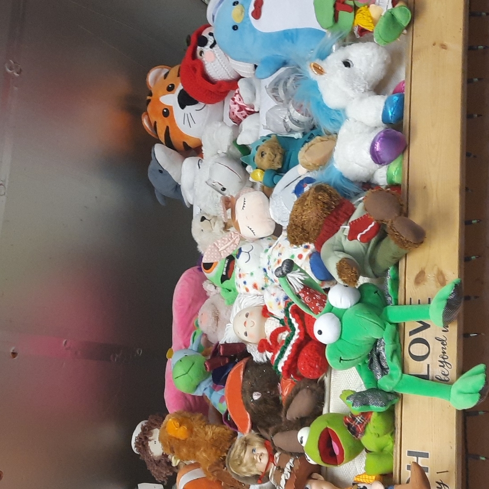 Meet our Pet Choir waiting to be adopted - Picture 3 of 4